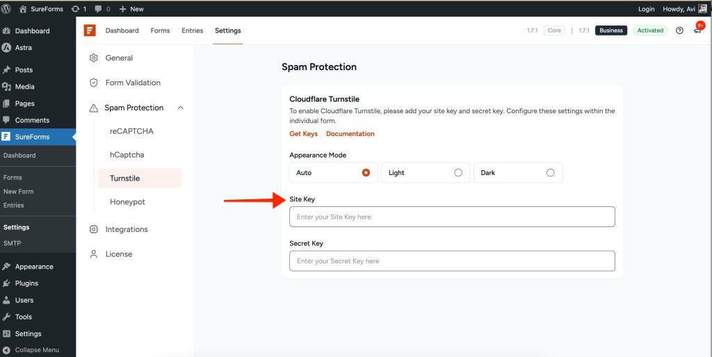 Site Key and Secret Key