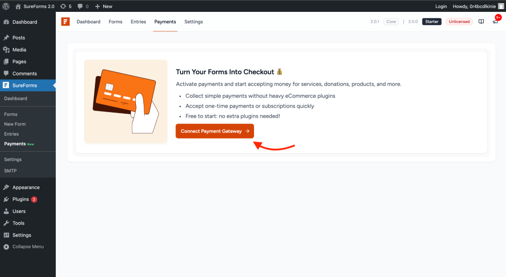 WordPress Payment Forms Plugin